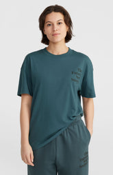 Future Surf Society T-Shirt Alma Steel