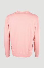 Women of the Wave Crew Sweatshirt Genuine Pink