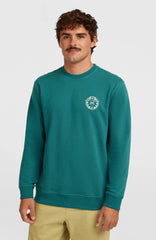 O'Neill Must-Have Graphic Crew Sweatshirt Botanical Heat