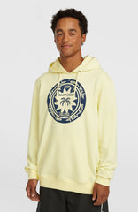O'Neill Must-Have Graphic Hoodie Rainforest Dew