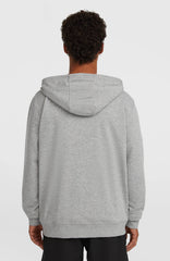 Small Logo Full-Zip Hoodie Silver Melee