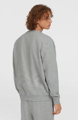 Future Surf Society Crew Silver Melee