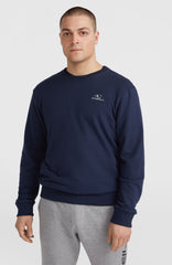 O'Neill Small Logo Crew Sweatshirt Ink Blue