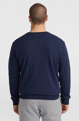 O'Neill Small Logo Crew Sweatshirt Ink Blue