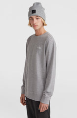 O'Neill Small Logo Crew Sweatshirt Silver Melee