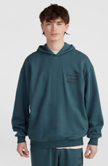 Future Surf Society Hoodie Alma Steel
