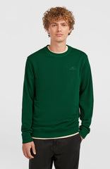 Small Logo Crew Sweatshirt Emerald Envy