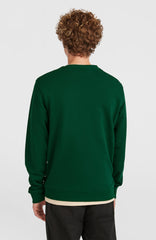 Small Logo Crew Sweatshirt Emerald Envy