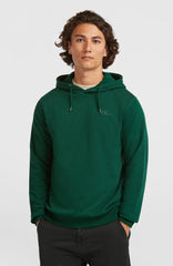 Small Logo Hoodie Emerald Envy