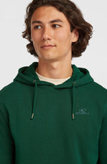 Small Logo Hoodie Emerald Envy