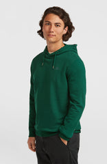 Small Logo Hoodie Emerald Envy