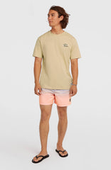 O’Neill Retro Back Print T-Shirt Cocoa Sand