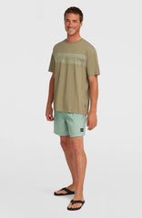 O’Neill Flower Stripe T-Shirt Avery Fern