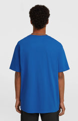O'Neill Small Logo T-Shirt Mediterranean Blue