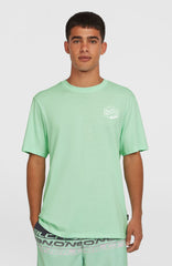 Box Logo T-Shirt Mildrew Mint