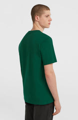 Small Logo T-Shirt Emerald Envy
