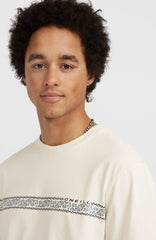 Ikat Stripe T-Shirt Atmosphere