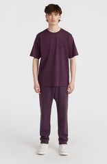 Future Surf Society T-Shirt Aubergine