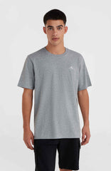 O'Neill Small Logo T-Shirt Silver Melee