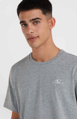 O'Neill Small Logo T-Shirt Silver Melee