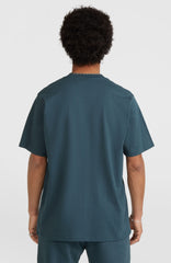 Future Surf Society T-Shirt Alma Steel