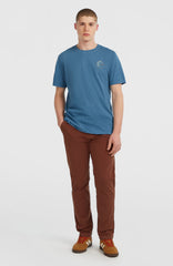 Essentials Chino Pants Hazel Spice