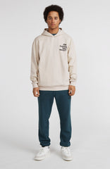 Future Surf Society Sweatpants Alma Steel