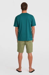 Essentials Chino Shorts Avery Fern