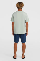 O’Neill Essentials Ripstop Cargo Shorts English Evening