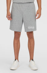 Future Surf Society Shorts Silver Melee