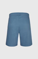 Future Surf Society Shorts Copen Blue