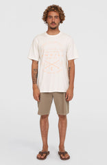 Essentials Chino Shorts Pure Cashmere