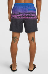 Logo Stripe 16'' Swimshorts Blue Heritage O'Neill Stripe