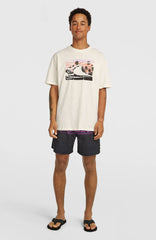 Logo Stripe 16'' Swimshorts Blue Heritage O'Neill Stripe