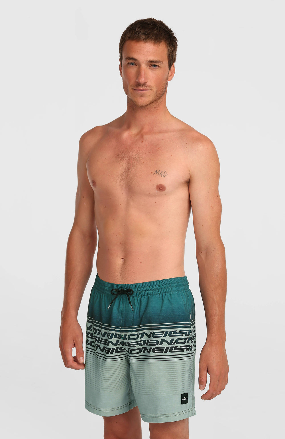 Logo Stripe 16'' Swimshorts Green Heritage Stripe