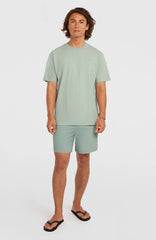 O'Neill Vert 16'' Swimshorts Marble Arch
