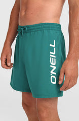 O'Neill Logo 16'' Swimshorts Botanical Heat