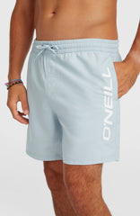 O'Neill Logo 16'' Swimshorts Spindle