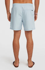 O'Neill Logo 16'' Swimshorts Spindle