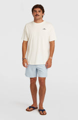 O'Neill Logo 16'' Swimshorts Spindle