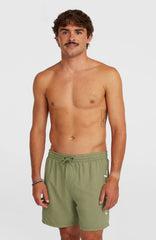 O'Neill Logo 16'' Swimshorts Avery Fern