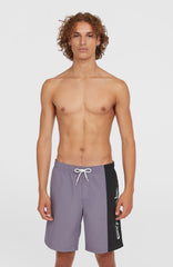 Retro 19'' Swim Shorts Storm Colour Block