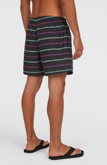 Cali First 15'' Swim Shorts Black/Purple O'Neill Stripe
