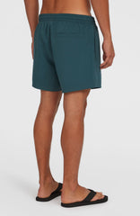 Retro 14'' Swim Shorts Alma Steel Colour Block