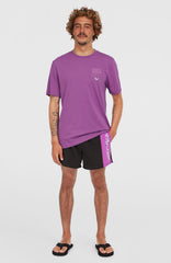 Retro 14'' Swim Shorts Digitalis Colour Block