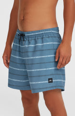 Cali First 15'' Swim Shorts Blue O'Neill Stripe