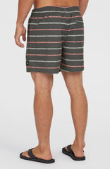 Cali First 15'' Swim Shorts Grey O'Neill Stripe
