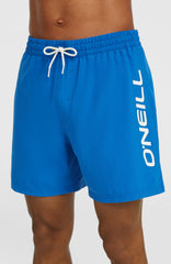 O'Neill Logo 16" Swimshorts Victoria Blue