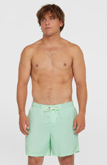O’Neill Vert 16'' Swim Shorts Mildrew Mint