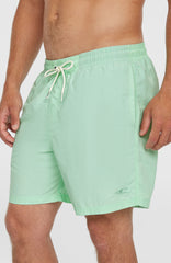 O’Neill Vert 16'' Swim Shorts Mildrew Mint